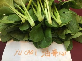 Fresh Usa 1/2-Oz 6000+ Yu Choi / You Cai Xin 青骨油菜 / 油菜心; Fast Harvest Ship From  - $7.90