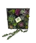 WALL OF FAUX SUCCULENT Cactus in Gray Wood Box Decor Display 12x12x3 inc... - $58.89