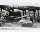 Grist Mill at Vamori Arizona Photograph Blindfolded Donkey 1910&#39;s - $57.42