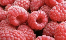 Raspberry Extract  50g(Super Antioxidant) Pure, - $249.84 MXN