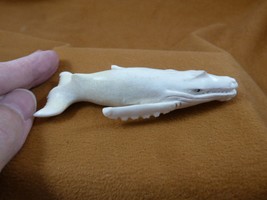 Whale-w76 little Humpback Whale shed ANTLER figurine Bali detailed I lov... - $114.99
