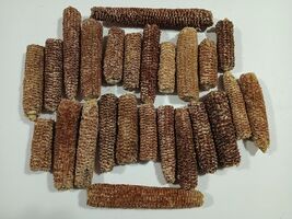 Item image 1 image 1