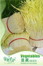 50 Seeds Yellow Chinese Chives Seeds Seeds Great Vegetables Hotbed Chives #N 25  - $7.44