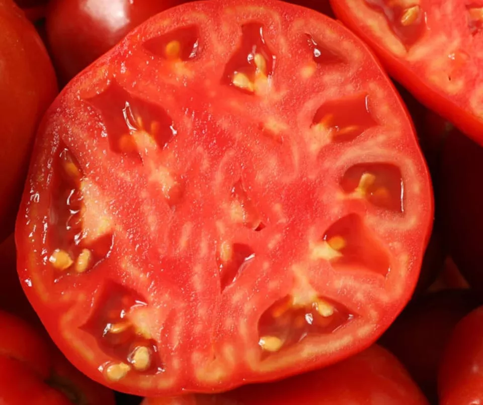 BStore 75 Heirloom Mortgage Lifter Tomato Huge 4Lb Tomato Seeds Starter ... - $13.70 CAD