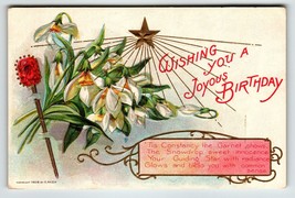 Birthday Flowers Gemstone Postcard January Garnet Snowdrop Nash 1908 Gem Ser.  1 - £8.78 GBP
