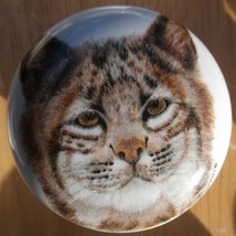 Cabinet Knobs Bobcat Lynx Head Shot Wildlife - $4.46