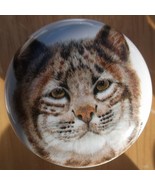 Cabinet Knobs Bobcat Lynx Head Shot Wildlife - $6.11 CAD