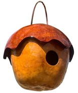 ADORABLE ACORN 2 GOURD BIRDHOUSE - Amish Hand Painted Bird House - $1,012.15 MXN