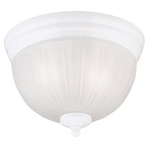 Westinghouse, White 6730800 Two-Light Flush-Mount Interior Ceiling Fixtu... - €32,55 EUR