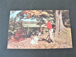 Greetings from Spring Valley, Hunting- Minnesota -1970s Unposted Postcard. - £7.13 GBP