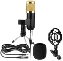 Professional Studio Broadcasting &amp; Recording Microphone Set (Black) - £12.28 GBP