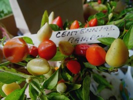 Item image 1 image 1