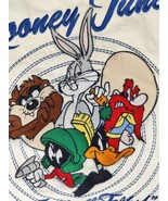 Vintage Looney Tunes Pillowcase Embroidered Warner Bros Martian Taz Bugs... - £18.02 GBP