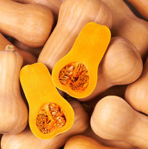 SGHOST Winter Squash Waltham Butternut Sweet Aas Winner Sweet Non Gmo 30 Seeds U - £7.30 GBP