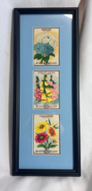 Antique Framed &amp; Matted Three Hole Vertical Original Empty Flower Seed P... - $29.95
