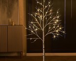 Lighted Birch Trees 4Ft 48Led, Pre Lit White Tree Lights Plug In For Hom... - £76.39 GBP