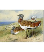 Archibald Thorburn Birds Painting Ceramic Tile Mural BTZ23202 - $120.00+