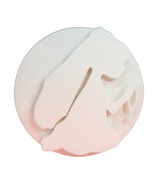 Girl Kneeling In Prayer Communion Cookie Stamp Embosser Made In USA PR5565 - $5.43 CAD