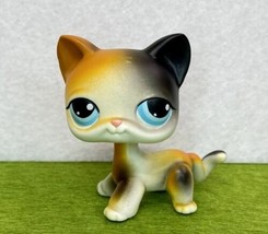 Littlest Pet Shop LPS Shorthair Cat #106 Calico ￼Blue Eyes Orange Black White - £12.76 GBP
