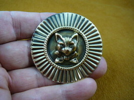 (b-cat-250) cat baby kitten kitty Cats bow ribbon pin pendant love - $19.62