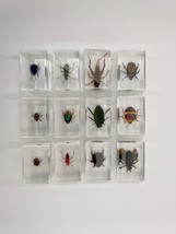 Item image 13