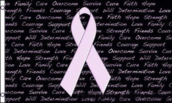 PINK RIBBON BREAST CANCER 3X5  FLAG  FL434 awarness - $6.64