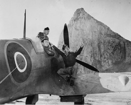US Army Air Force men in a Spitfire observe a plane in flight New 8x10 P... - $8.81