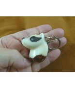 TNE-RAC-718B) Raccoon head Tagua nut keychain carving Vegetable coon rin... - $319.69 MXN