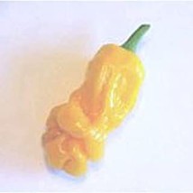 Peter Pepper Hot Peppers Yellow Seeds 20+ Seeds - £5.21 GBP