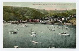 Avalon from Sugar Loaf Santa Catalina Island California Postcard 1900&#39;s - £7.64 GBP