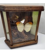 80s Boho Taxidermy Butterfly Terrarium Mirrored Wood Display Case - £34.11 GBP