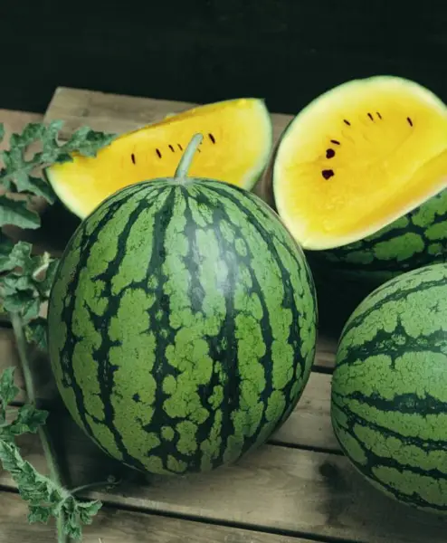 Baby Doll Yellow Watermelon Seeds Bright Yellow Interior Extra Sweet Compact Fre - £8.47 GBP