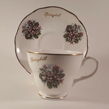 Rare Vintage Mayflower Bone china Springhill Teacup and Saucer - $19.87