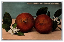 Naval Oranges and Blossoms UNP DB Postcard Z4 - £2.29 GBP