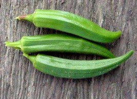 300 pcs Clemson Spineless Green Okra Abelmoscgus Esculentus Vegetable Seeds - £7.07 GBP