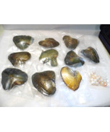 ONE Fresh Water Pearl in an Oyster OR Just ONE Fresh Water Pearl W/O The... - $9.00