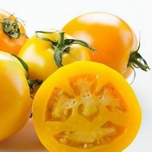 Golden Jubilee Tomato 30 - 300 Seeds Low Acid! meaty interior great for Tomato J - $1.72+