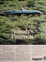 1974 Esquire Original Advertisement JAGUAR E Type V-12 -- Nobody&#39;s Pussycat! - £8.06 GBP