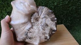 Item image 13