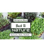 Spinach, Kale, Radish Microgreen Seed Blend - Organic &amp; Non Gmo Microgre... - £3.17 GBP