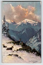 Mountain Goats Snow Covered Postcard Signed Muller Wildlife HKM 419 Germany - £10.43 GBP