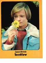 Lance Kerwin teen magazine pinup clipping holding a yellow flower Tiger Beat Bop - £2.80 GBP