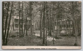 Allentown PA Cottages Among Trees At Waldheim 1912 Pennsylvania Postcard X28 - £19.77 GBP