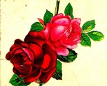 Blooming Red and Pink Rose on Stem Embossed 1909 Postcard - $3.91