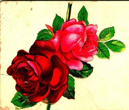 Blooming Red and Pink Rose on Stem Embossed 1909 Postcard - £3.07 GBP