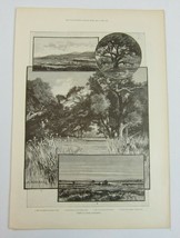 Antique 1888 Print Views in Lower California San Rafael Valley Las Anima... - $39.99
