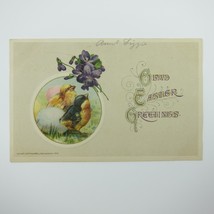 Easter Postcard Chicks Eggs Purple Flower Gold Embossed John Winsch Antique 1912 - £8.02 GBP