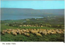 Israel Postcard Holy Land Jordan Valley View Towards Degania - £1.71 GBP