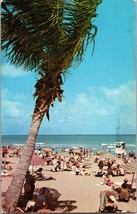 C 1954 Palm Tree Florida FL Beach Scene Sunbathers Postcard Dexter VTG Vintage - £17.01 GBP