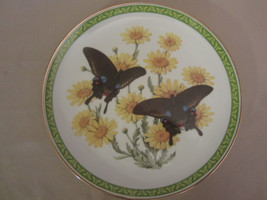 BLUE-BANDED Peacock Butterfly Collector Plate John Wilkinson Butterflies World - £22.49 GBP